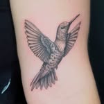 ANIMALS – Instagram Highlight von EB Tattoo