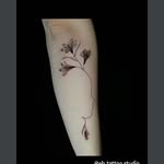 Silas – Instagram Highlight von EB Tattoo
