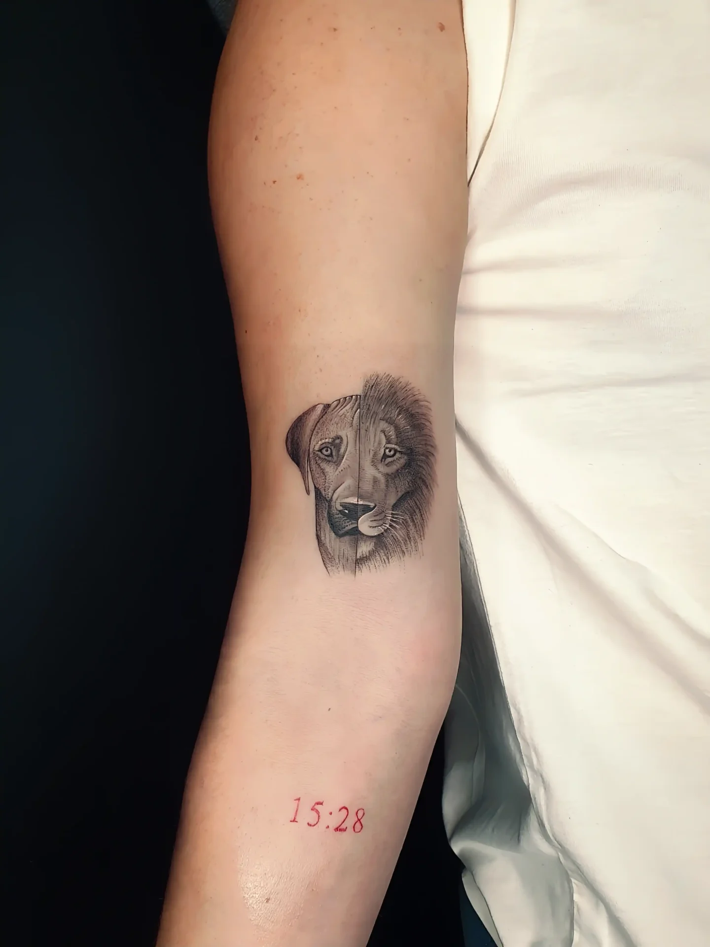 Realistisches Tierportrait von Hund und Löwe am Oberarm, gestochen bei EB Tattoo in St. Gallen