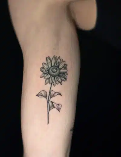 Fineline Sonnenblumen Tattoo am Unterarm mit zarten Blättern bei EB-Tattoo St. Gallen
