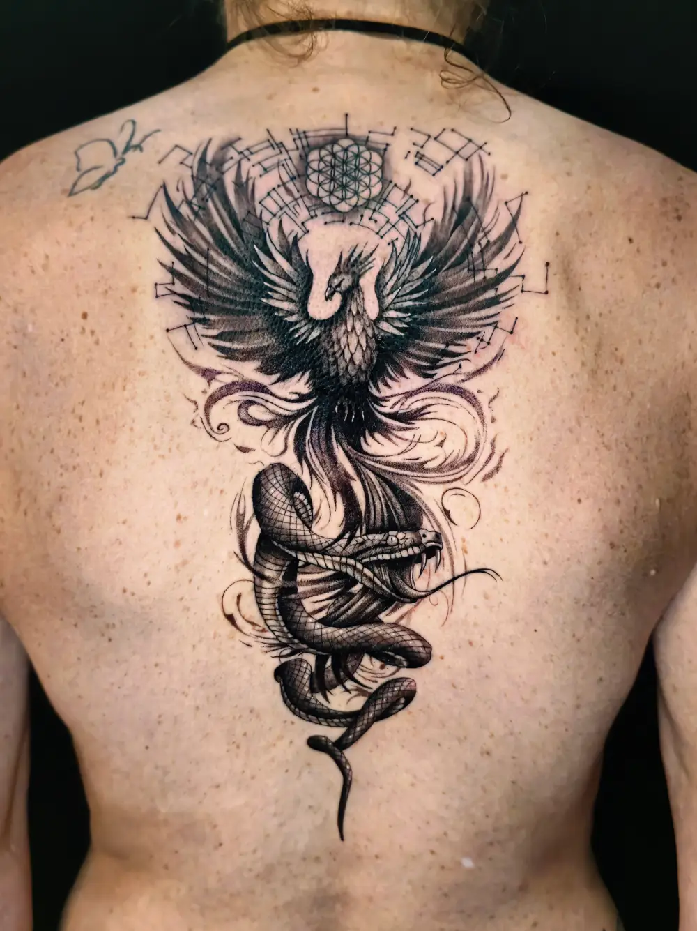 Phönix Tattoo mit Schlange auf dem Rücken, fein schattiert – EB Tattoo St. Gallen