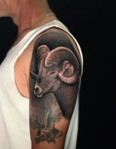 Realistic Widder Tattoo am Oberarm mit detailreichen Hörnern, gestochen bei EB-Tattoo St. Gallen