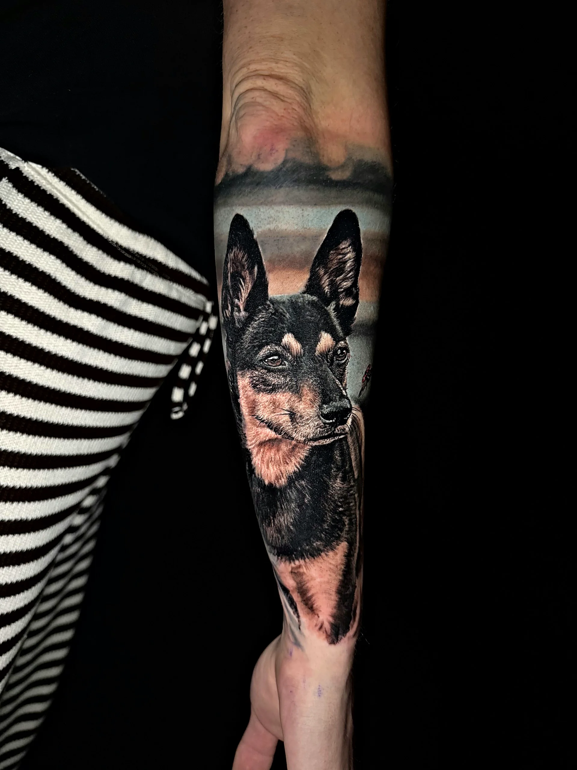 Realistisches Tierportrait Tattoo eines Schäferhunds mit Landschaft am Unterarm, gestochen von Alessandro bei EB Tattoo St. Gallen